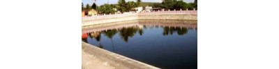 262. திருக்கச்சூர் ஆலக்கோயில்